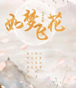 《如梦飞花》