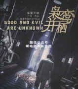硬核本《枭鸾并栖》