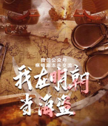 《我在明朝当海盗》