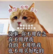 剧本杀常见跳车借口“我要跳车了，这车妹妹不好看”