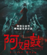 经典推荐《阿姐鼓》