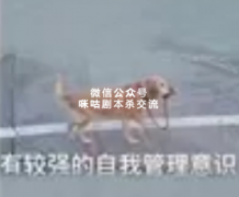 一起剧本杀有梗评论合集 2.0 （整活不能停）