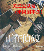 《正在侦探》