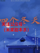 现代情感本《芳华3四个冬天》