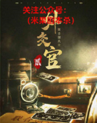 （机制本）外交官2