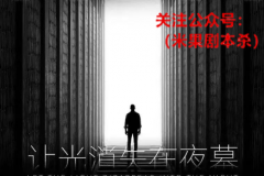 盒装本|让光消失在夜幕