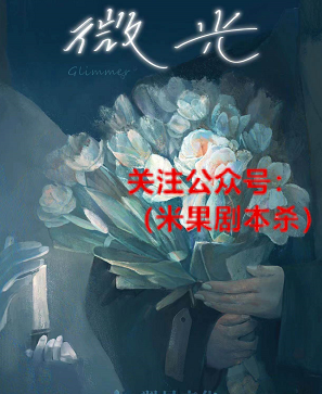 微光剧本杀