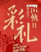 《出轨2彩礼》