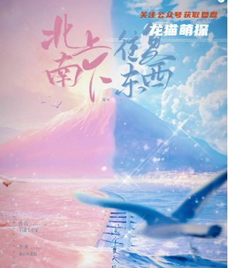 北上南下，往复东西剧本杀