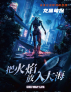 《把火焰放入大海》