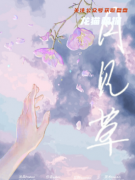 盒装系列《月见草》