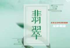 我是谜系列|翡翠