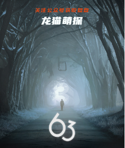 63剧本杀复盘答案
