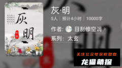 百变大侦探系列|灰·明