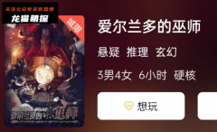 完整版《爱尔兰多的巫师》