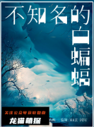 《不知名的白蝙蝠》
