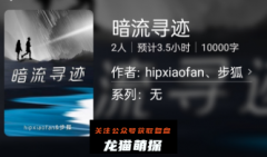 暗流寻迹（百变大侦探）