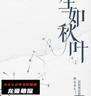 生如秋叶剧本杀复盘答案