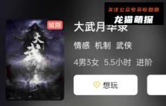 《大武月华录》