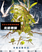 《小兔儿乖乖2去春天》