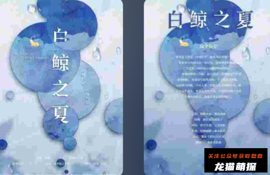 白鲸之夏剧本杀复盘答案