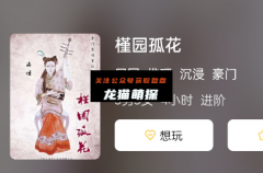 《槿园孤花》