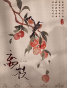 《离枝》