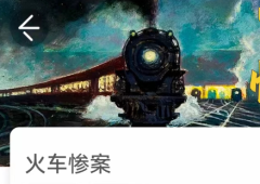 <b>火车惨案（我是谜）</b>