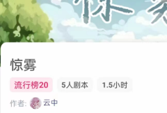 <b>惊雾（我是谜）</b>