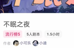 <b>不眠之夜/我是谜</b>