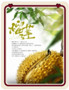 榴莲