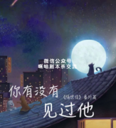《你有没有见过他》