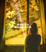 <b>《流星》</b>