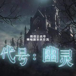 代号：幽灵剧本杀复盘