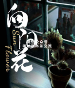 《向阳花》