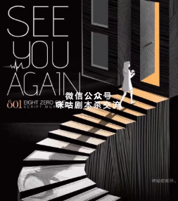 SEE YOU AGAIN（801）剧本杀