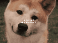 剧本杀持续热度不下，为什么能风靡全国？