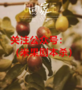《回家》