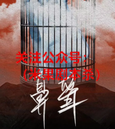 鼻聋剧本杀