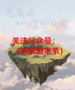 《谜麓岛-聪明精神病院》