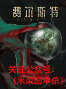 《费尔斯特》