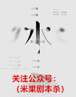 就像水消失在水中剧本杀