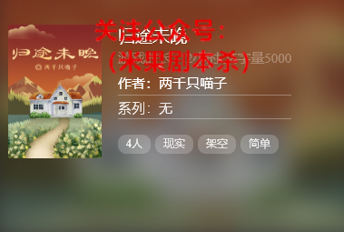 归途未晚剧本杀复盘