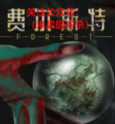 欧式机制本|费尔斯特