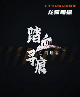 踏血寻痕：白荆迷雾剧本杀
