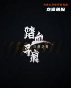 《踏血寻痕白荆迷雾》