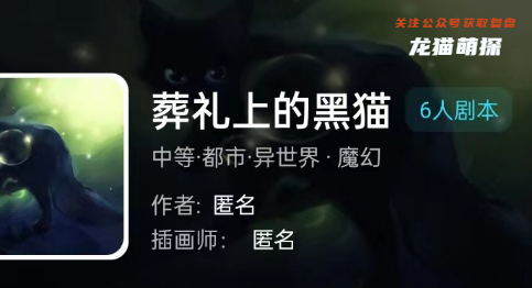 葬礼上的黑猫剧本杀
