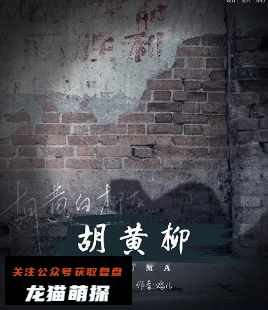胡黄柳剧本杀复盘答案