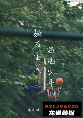 她在尘间遇见少年剧本杀