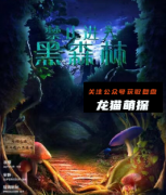 《禁止进入黑森林》